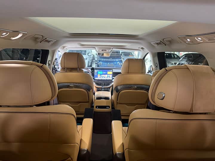 Фото 13 - Denza D9