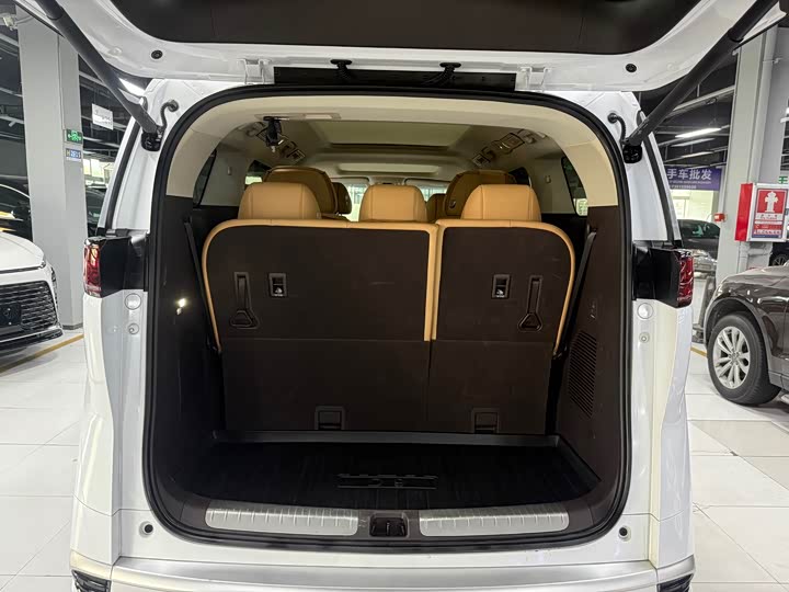 Фото 14 - Denza D9