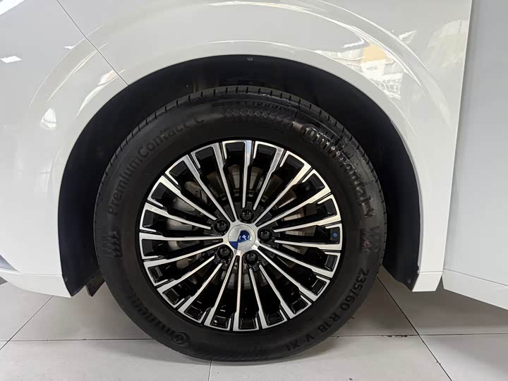 Фото 15 - Denza D9