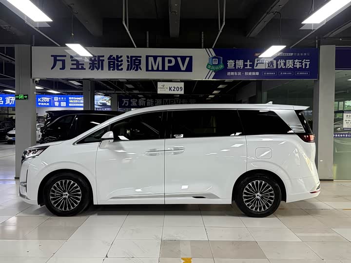 Фото 16 - Denza D9