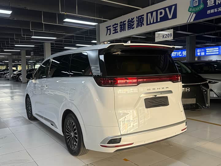 Фото 17 - Denza D9