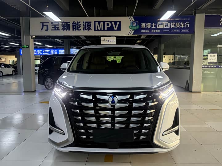 Фото 2 - Denza D9