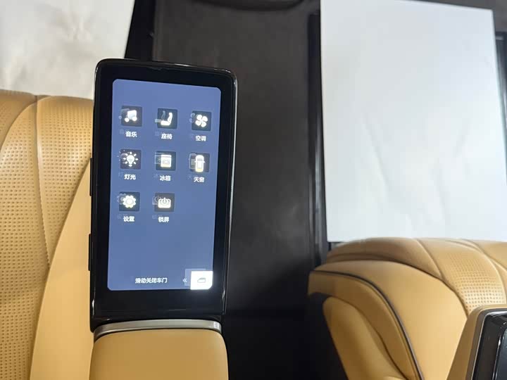 Фото 9 - Denza D9