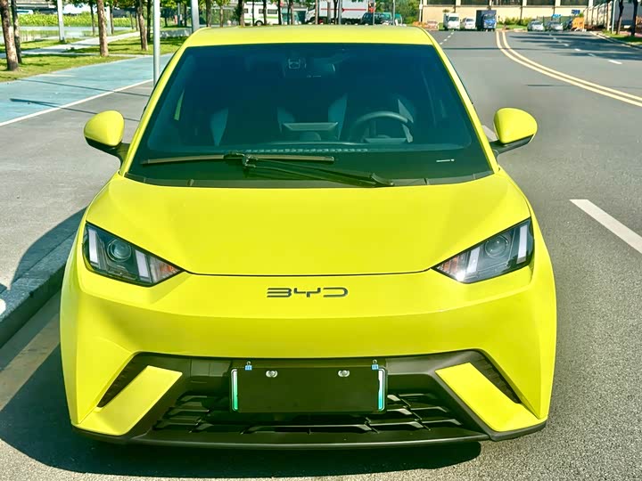 Фото 2 - BYD Seagull