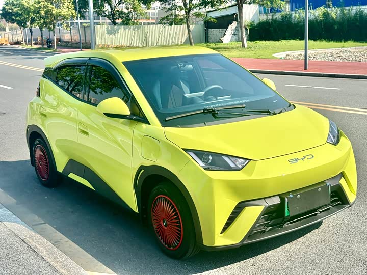 Фото 3 - BYD Seagull