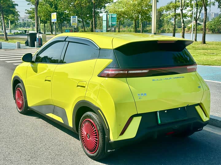 Фото 4 - BYD Seagull