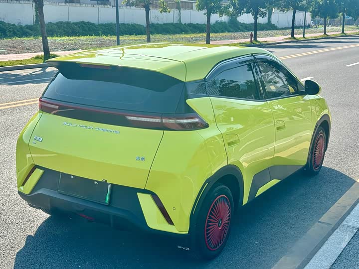 Фото 6 - BYD Seagull