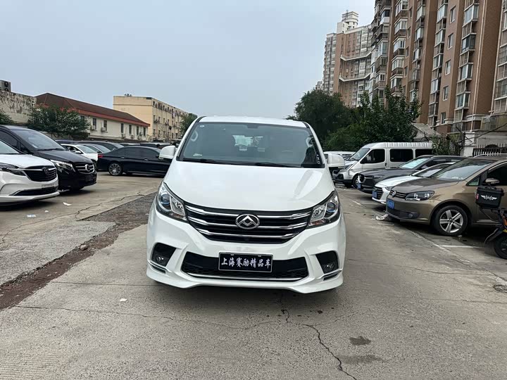 Фото 2 - Maxus G10