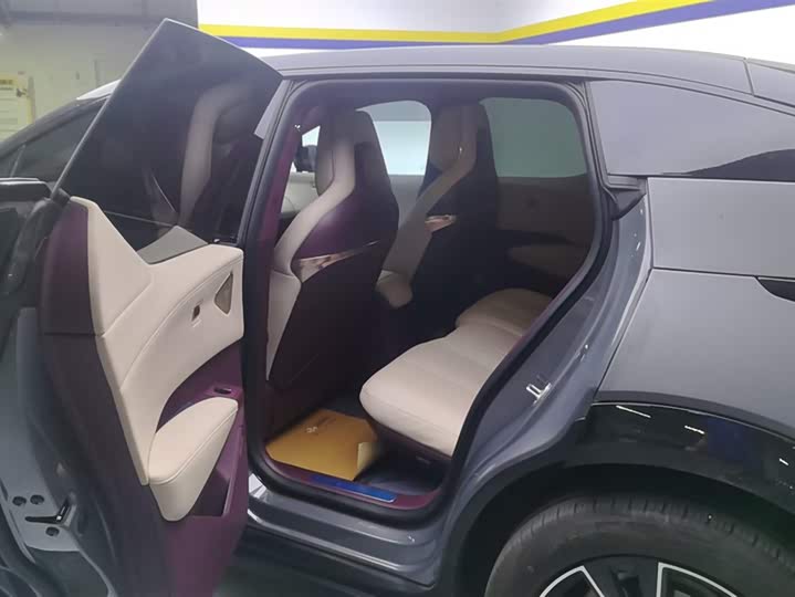 Фото 11 - Zeekr X