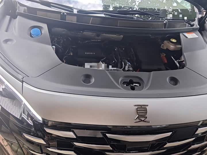 Фото 11 - BYD Xia