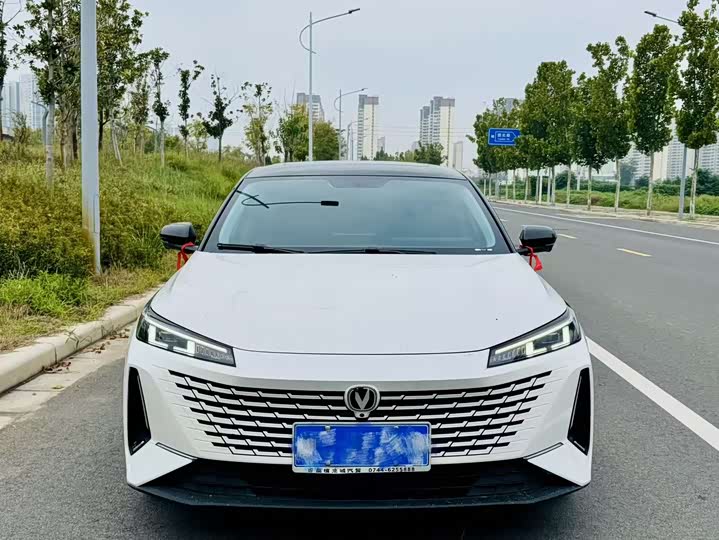 Фото 2 - Changan Yida