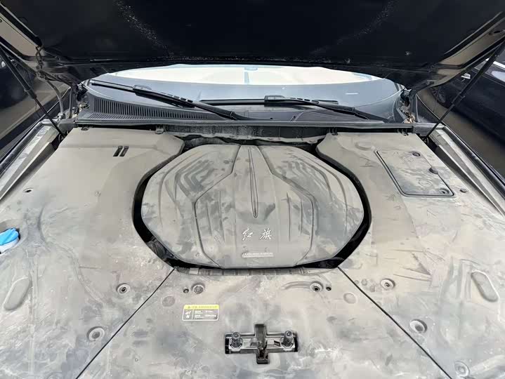 Фото 9 - Hongqi H9