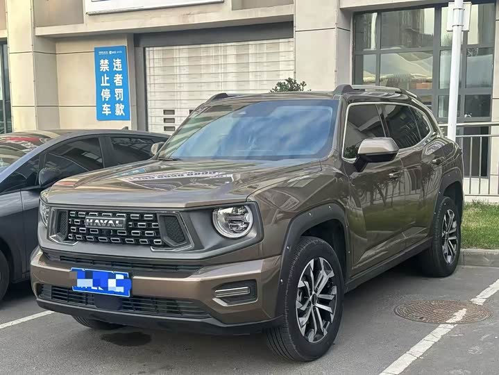 Фото 1 - Haval H-Dog