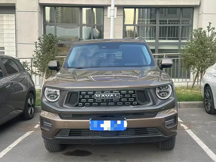 Фото 2 - Haval H-Dog