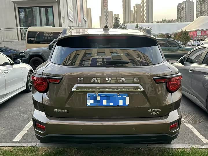 Фото 8 - Haval H-Dog