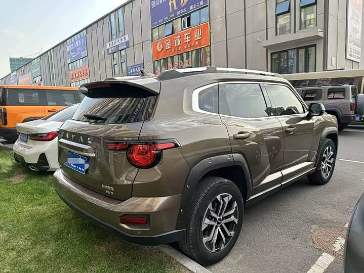 Фото 9 - Haval H-Dog