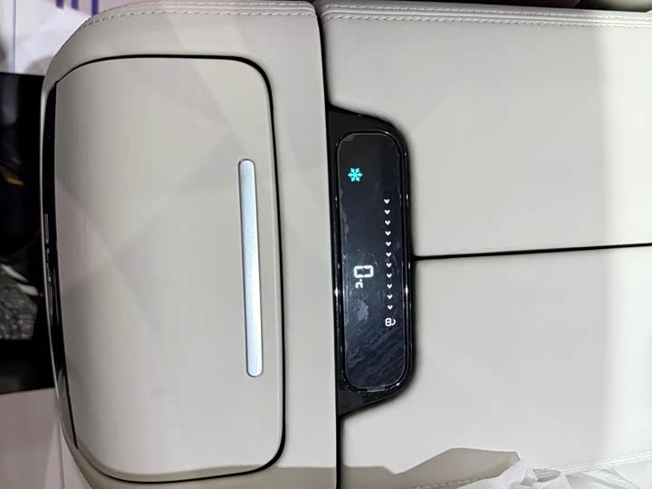 Фото 11 - BYD Xia