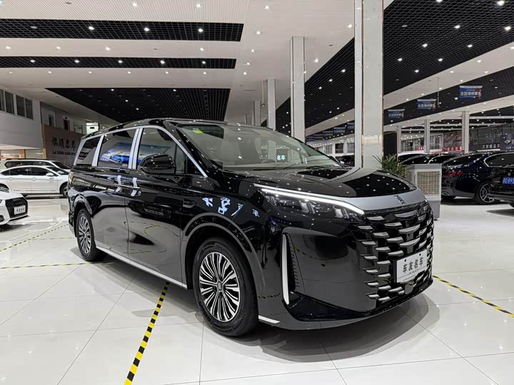 Фото 5 - BYD Xia