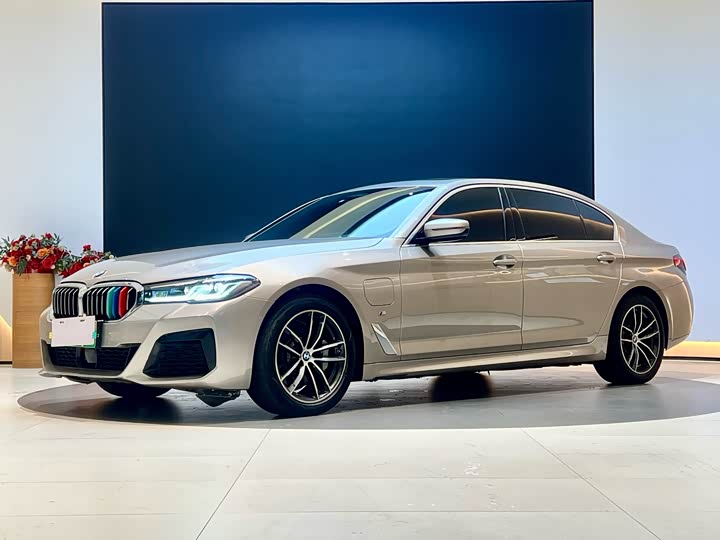 Фото 1 - BMW 5 Series Hybrid