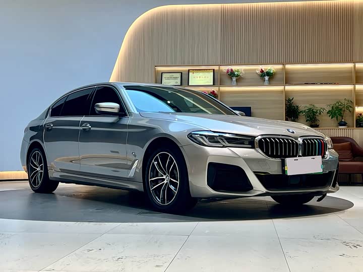 Фото 3 - BMW 5 Series Hybrid