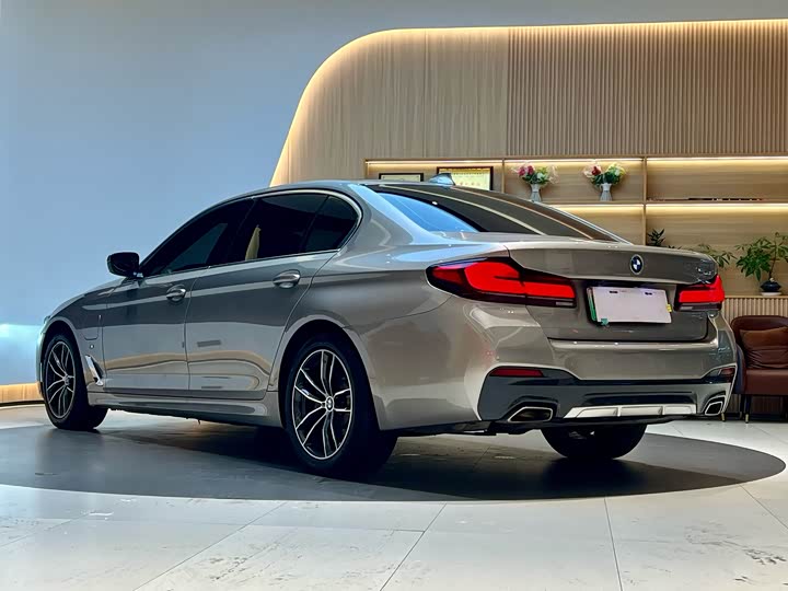 Фото 4 - BMW 5 Series Hybrid