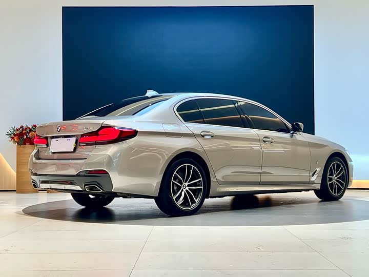 Фото 6 - BMW 5 Series Hybrid