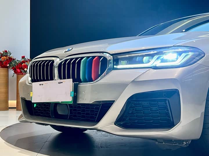 Фото 7 - BMW 5 Series Hybrid