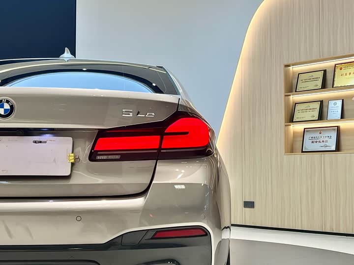 Фото 9 - BMW 5 Series Hybrid