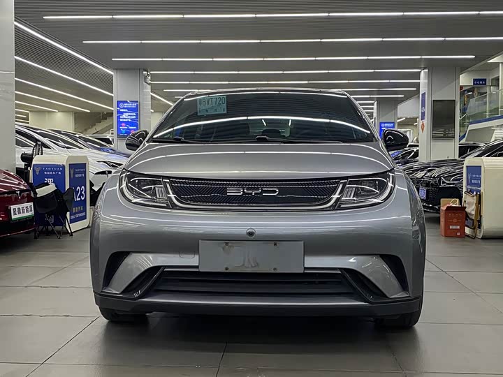 Фото 2 - BYD Dolphin