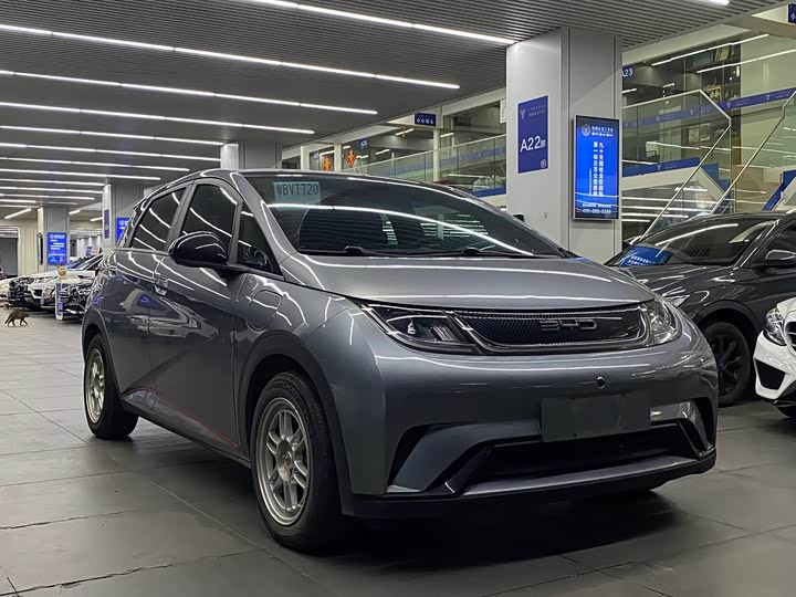 Фото 3 - BYD Dolphin