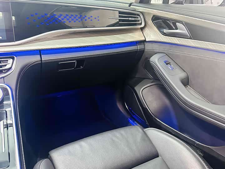 Фото 12 - Hongqi H9