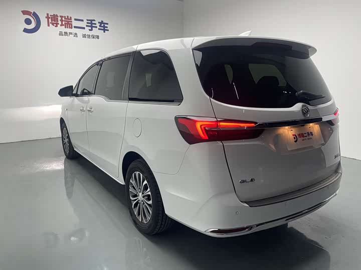 Фото 4 - Buick GL8 ES