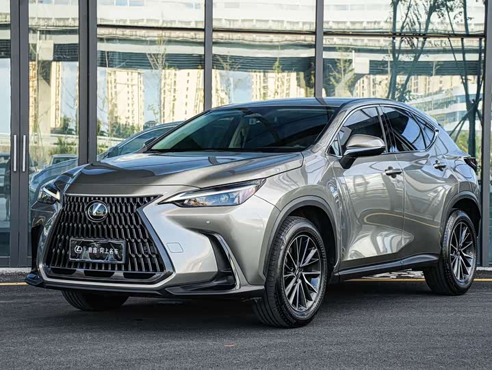 Фото 1 - Lexus NX
