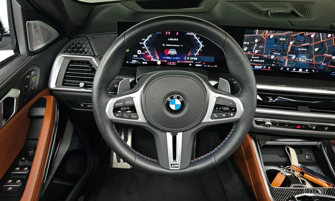 Photo 13 - BMW X6