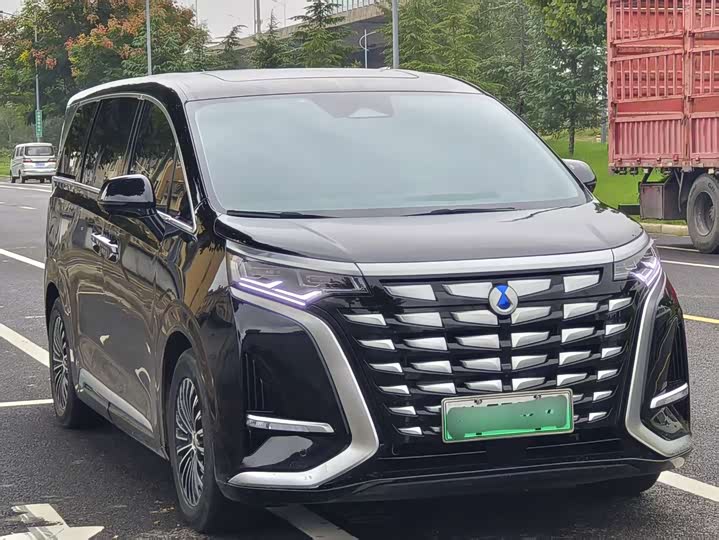 Фото 2 - Denza D9