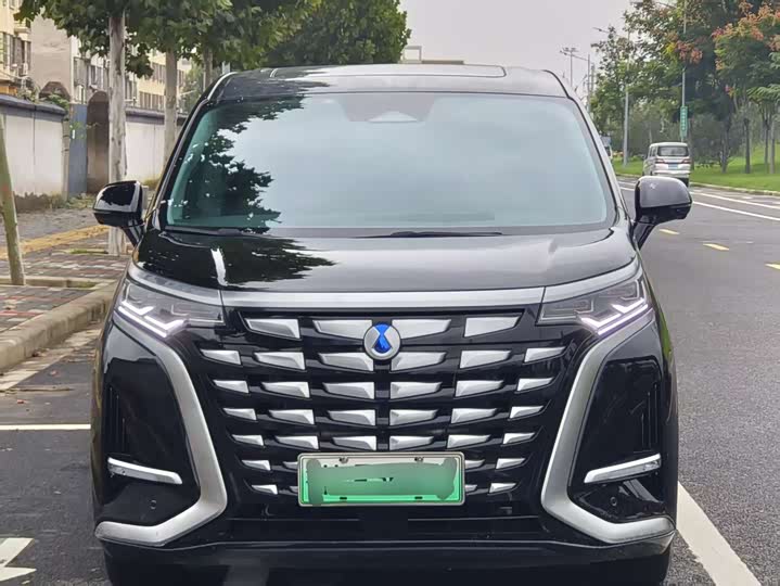 Фото 3 - Denza D9