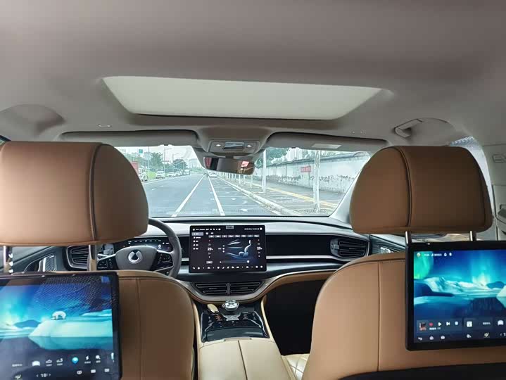 Фото 8 - Denza D9