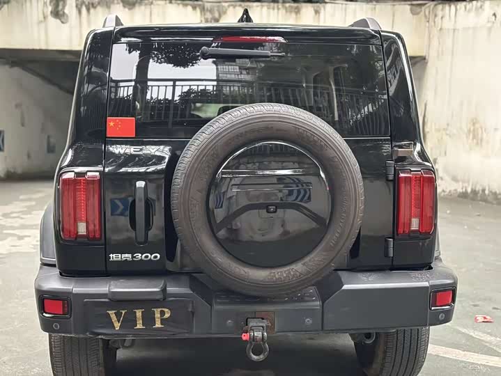 Фото 5 - Tank 300