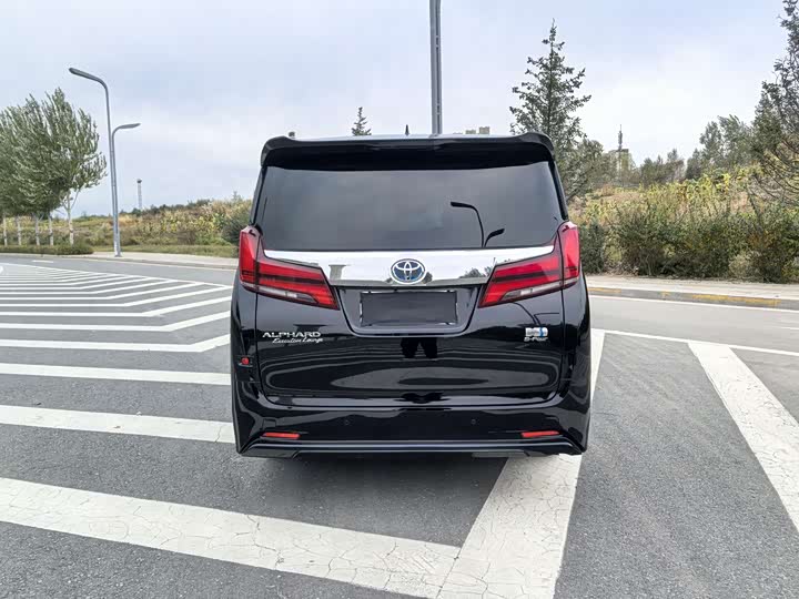 Фото 5 - Toyota Alphard