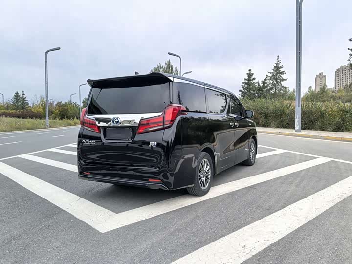 Фото 6 - Toyota Alphard