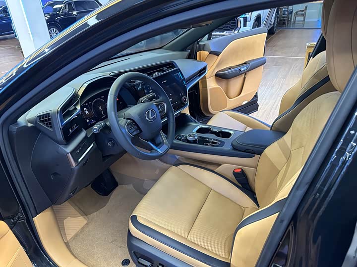 Фото 10 - Lexus RZ