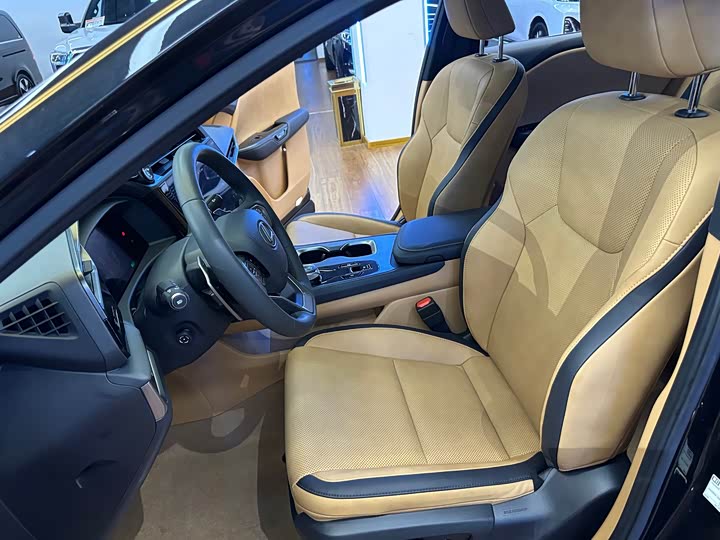 Фото 11 - Lexus RZ