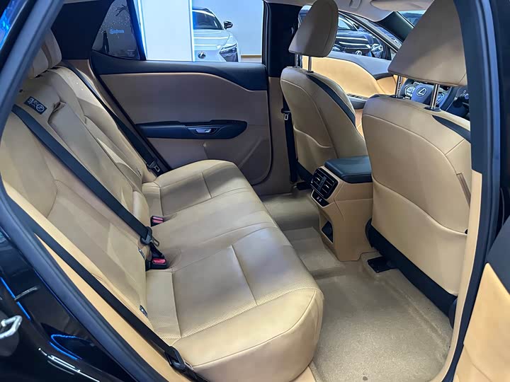 Фото 22 - Lexus RZ