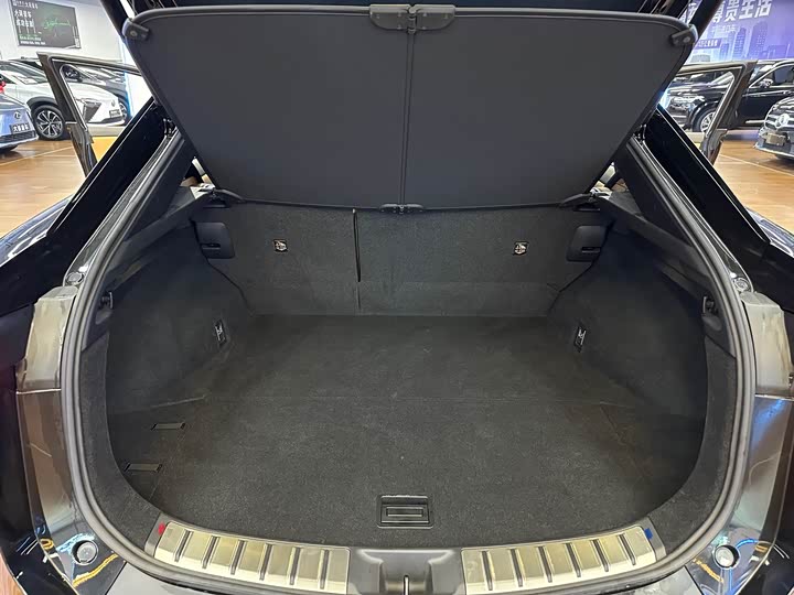 Фото 26 - Lexus RZ