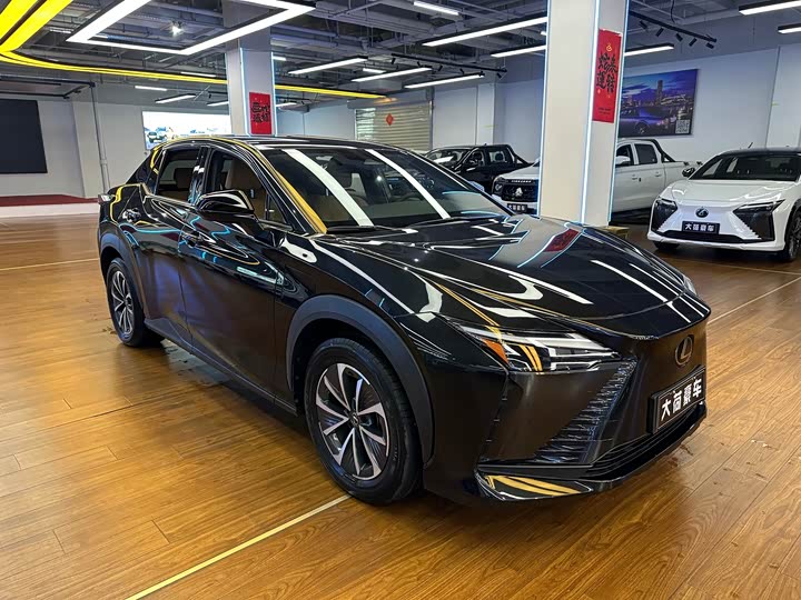 Фото 3 - Lexus RZ