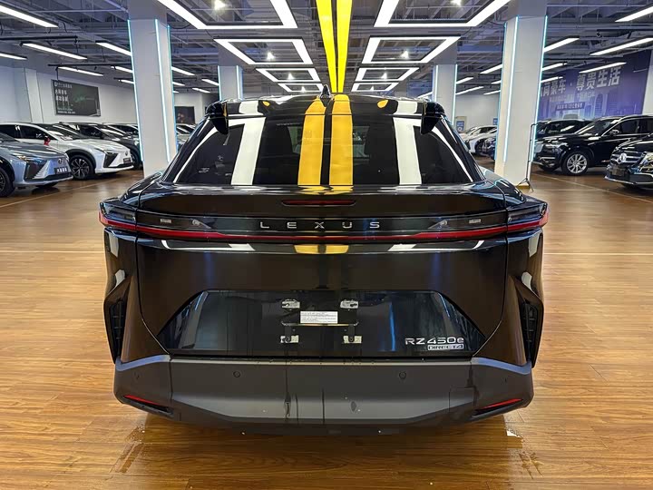 Фото 6 - Lexus RZ