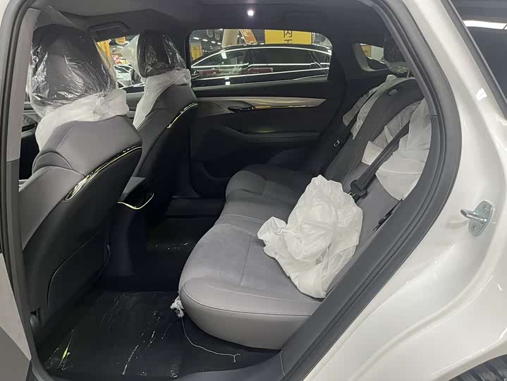 Фото 9 - Voyah Passion