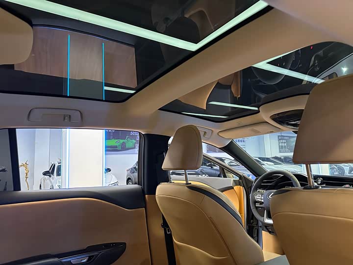 Фото 22 - Lexus RZ