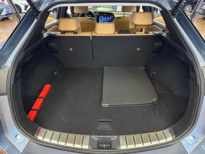 Фото 24 - Lexus RZ