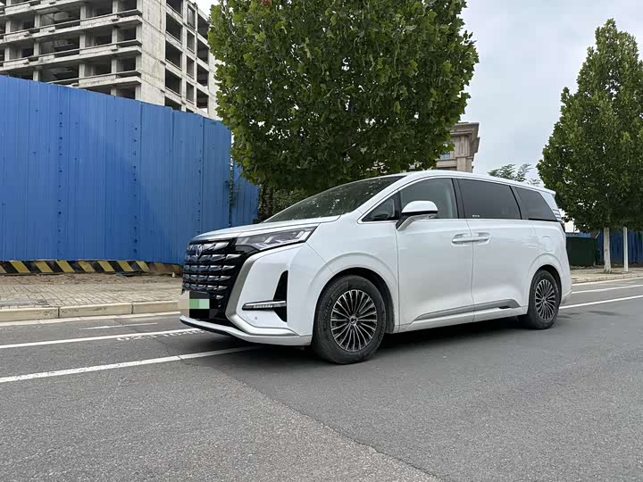 Фото 1 - Denza D9